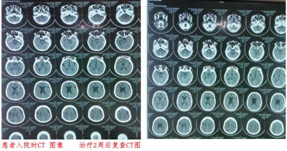 微信截图_20241230113223